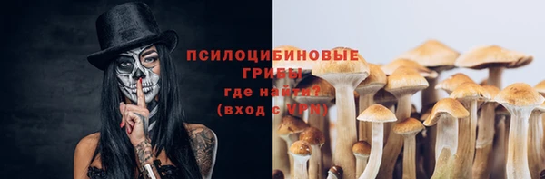 стаф Арсеньев