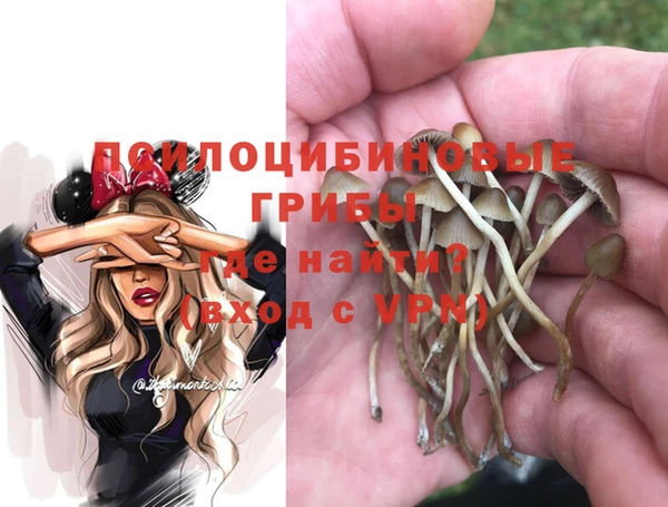 гидропоника Костерёво