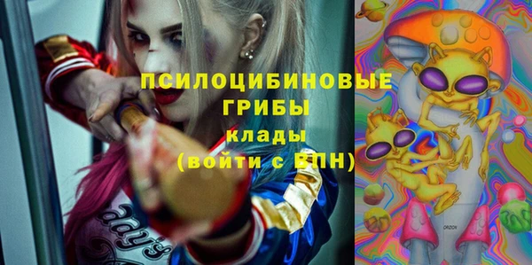 стаф Арсеньев
